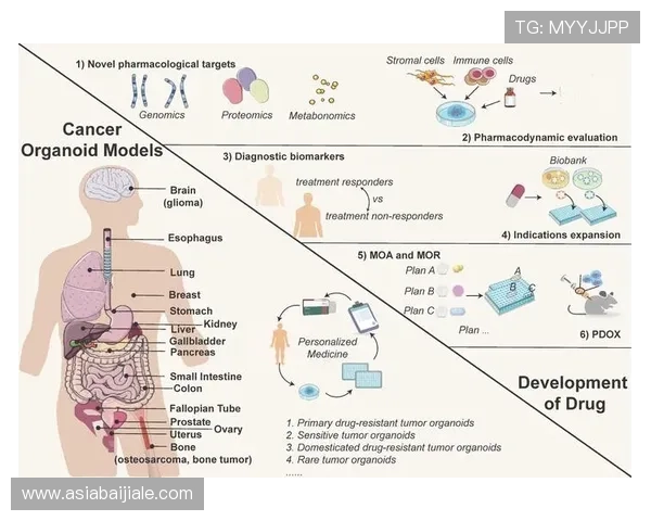 PA真人馆的未来发展趋势,行业专家为你解析最新动态 PA真人馆的未来发展趋势,行业专家为你解析最新动态
