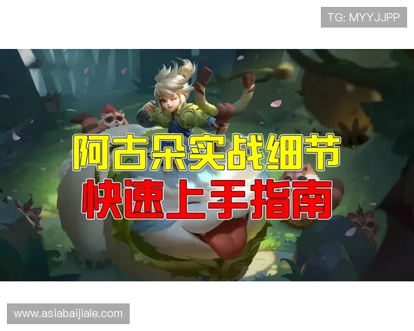 AG贵宾厅游戏账号安全保障与快速登录指南帮助玩家轻松畅玩