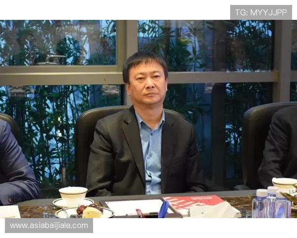 中国地区db真人旗舰集团的核心优势与多元化发展战略探讨 中国地区db真人旗舰集团的核心优势与多元化发展战略探讨