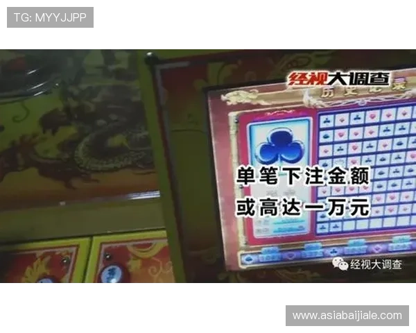 专业玩家分享百家乐龙虎斗扑克牌的实战经验与获胜秘籍全攻略